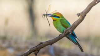 My First Software Engineering Internship