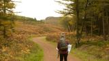 Choose your own tidymodels adventure