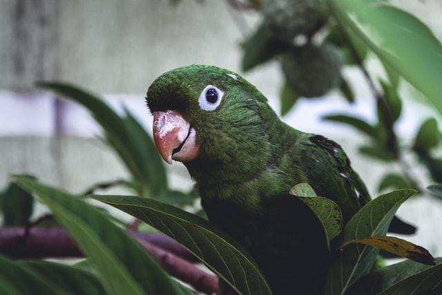 torch outside the box