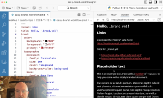 Screenshot of Positron's color picker active in the document options `brand` key.