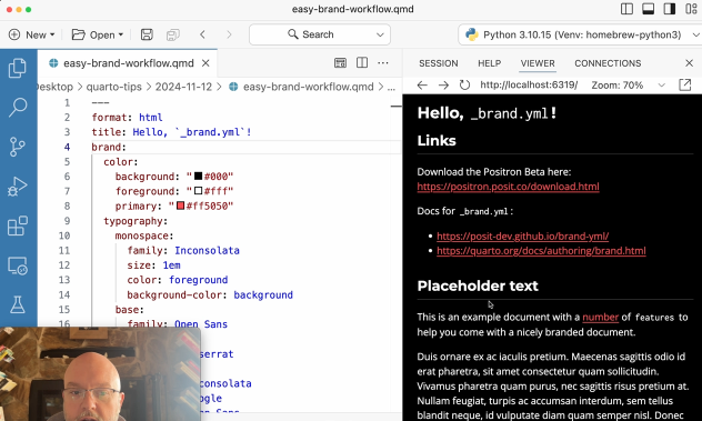 Screenshot of Positron's color picker active in the document options `brand` key.