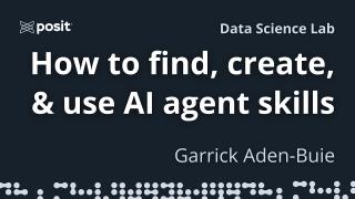 What are AI agent skills? How do I use them? | Garrick Aden-Buie | Data Science Lab